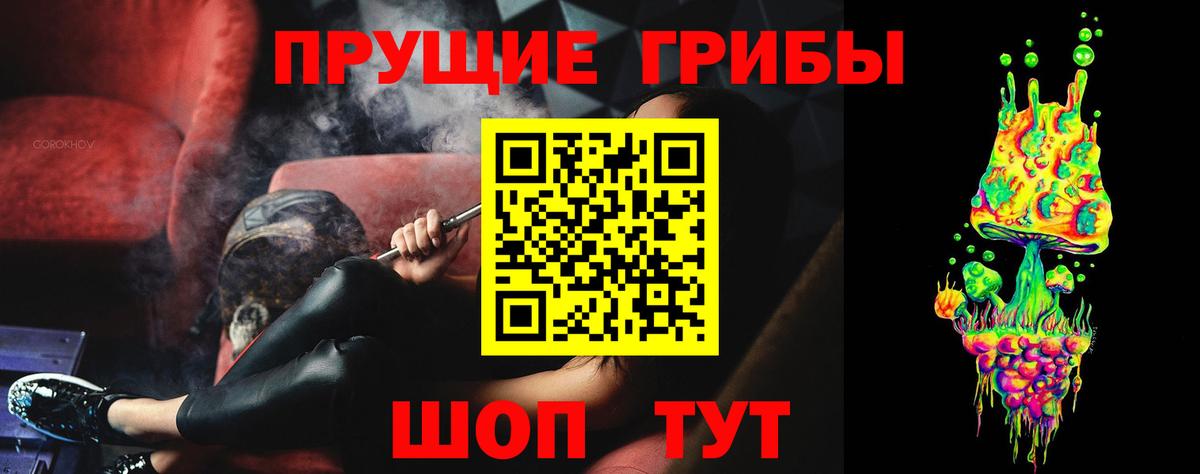 Вичуга  Галлюциногенные грибы Cubensis  Вход с VPN 